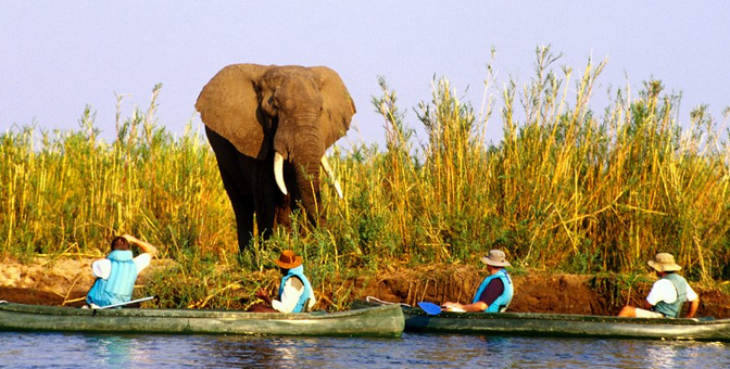 Parque Nacional Zambeze